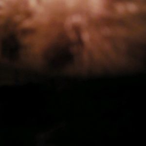 Meet your Posher, Janey